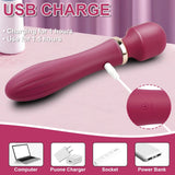 10 Vibrating Double-headed Heating Vibrator Female Wand Massager - propinkup